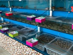 -港畔赶海蒸汽海鲜烧烤自助(仙螺岛店)