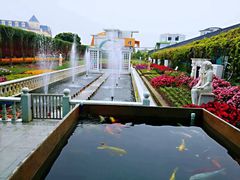 -百万葵园