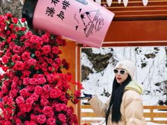 -少华山国家森林公园