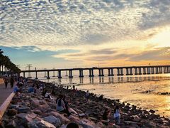 -宝安西湾红树林湿地公园