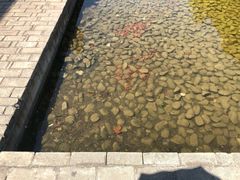 -中国艺术研究院油画院