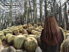 -南山植物园