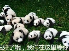 -西安秦岭野生动物园