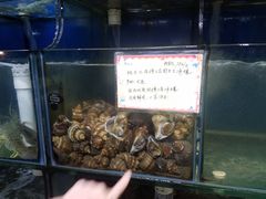 -蚝专家(北滘店)