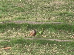 -眉山湿地公园(东坡区)