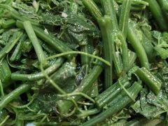 清炒油菜尖-妈妈的味道(和顺古镇店)