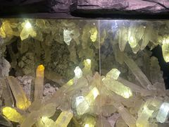 -湖南省地质博物馆