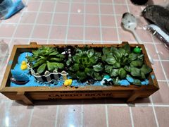 -奶油猫DIY·手工·团建·美陈搭建(宝山万达店)