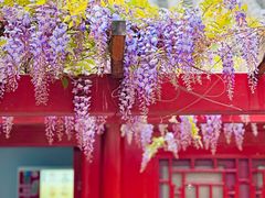 -北京艺术博物馆(万寿寺)