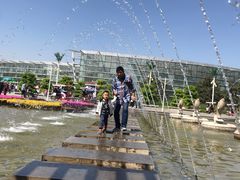 -石家庄市植物园