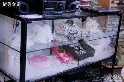 -上海彩妆秀摄影设计有限公司