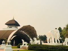 -清迈夜间动物园
