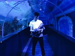 -成都浩海立方海洋公园