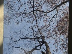 -T80科技文化国际社区-停车场