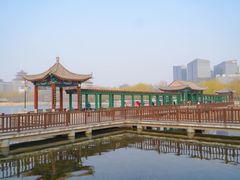 -莲花池公园
