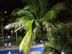 -三亚亚龙湾金棕榈度假酒店