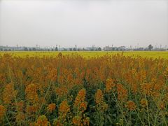 -中国天府农业博览园