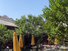 -宫事颐庭·老佛爷贵寿下午茶(颐和园店)