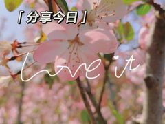 -大宁公园