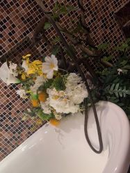 -尊尚柏丽美容SPA