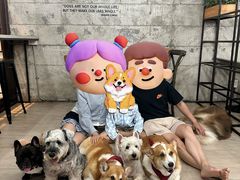 -Dog in Town Ekkamai