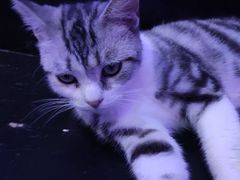 -极木²邸 人与宠物·互动社区