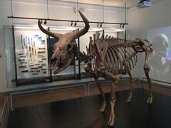 -丹麦国家博物馆