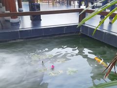 -濮园 · 四合院餐厅