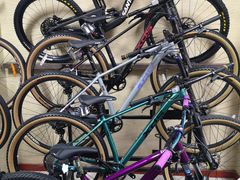 -道路口单车爱瓦士dahon大行