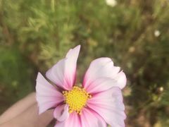 -洛阳花果山景区