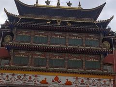 -塔尔寺菩提树