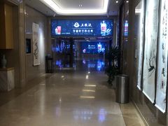 -郑州新郑国际机场T2航站楼-贵宾厅B区