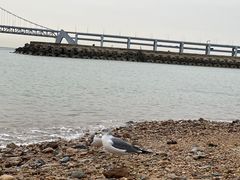 -星海广场