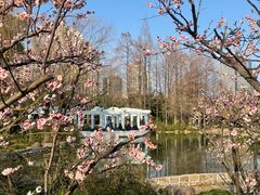 -新虹桥中心花园