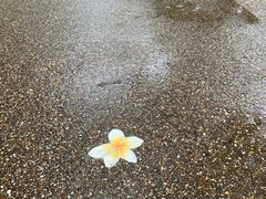 -查龙寺