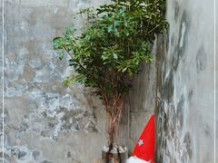 -VOYAGE COFFEE(北锣鼓巷店)