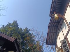 -胖娃古镇鸡杂(磁器口总店)