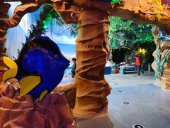 -芜湖新华联大白鲸海洋公园