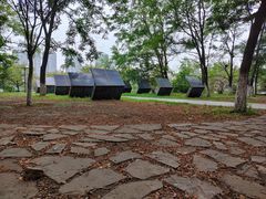 -长白岛森林公园