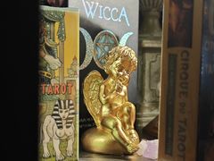 -雪灵魔法世界SHELLY’S TAROT(大良桂畔里店)