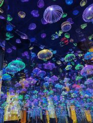 -萌兔星空蹦床撸兔馆