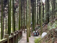 -鼓岭旅游度假区