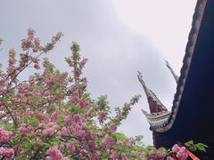 -涂山寺素食餐厅