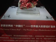 -湖南省地质博物馆