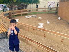 -HERRE·FARM 赫尔露营农场·团建聚会包场