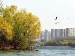 -丁香湖公园