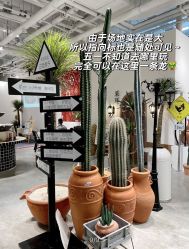 -好看加白色房子