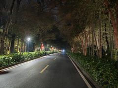 -南京东郊国宾馆