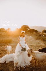 -花漾摄影优选工作室(东莞原创作品店)