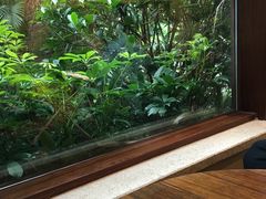 -雨林餐厅(长隆海洋王国店)